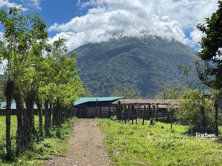 21389 - Property for Sale for Hospitality Development in La Fortuna — photo 2 of 7