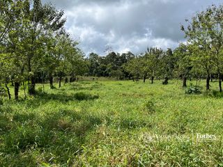 21389 - Property for Sale for Hospitality Development in La Fortuna — photo 5 of 7