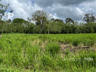 21389 - Property for Sale for Hospitality Development in La Fortuna — photo 4 of 7