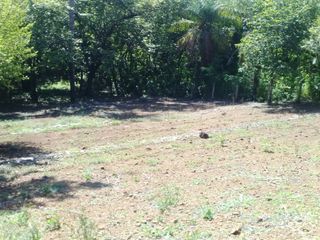 Lote para vivir en paz y entre la naturaleza — photo 3 of 6