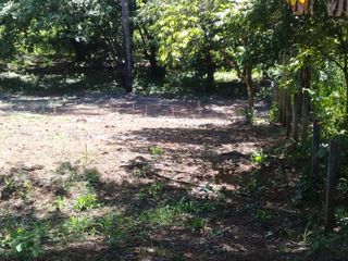 Lote para vivir en paz y entre la naturaleza — photo 5 of 6