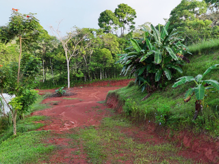 3,600sqm Mountain View Lot – High Appreciation & Ready to Build — photo 5 of 10