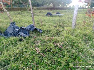 VENTA PROPIEDAD SARAPIQUI — photo 3 of 6