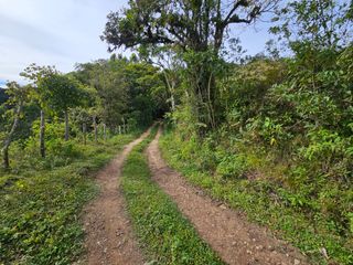 Finca Colpachi — photo 5 of 9