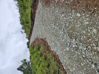 Finca Colpachi — photo 2 of 9