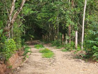 Finca Colpachi — photo 3 of 9