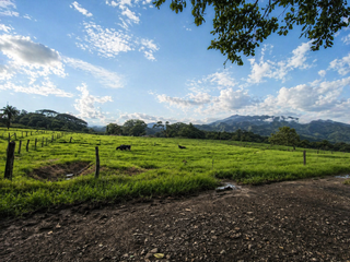 FINCA LECHERA GUAYABO DE BAGACES — photo 3 of 10
