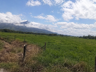 FINCA LECHERA GUAYABO DE BAGACES — photo 2 of 10