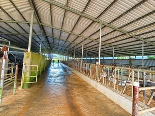 FINCA LECHERA GUAYABO DE BAGACES — photo 4 of 10