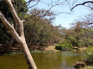 FINCA LAGUITO LIMONAL GUANACASTE — photo 3 of 14