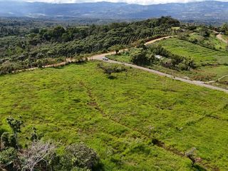 Lot for Sale in Santa Elena to Build, a Unique Real Estate Investment Opportunity — foto 5 de 13
