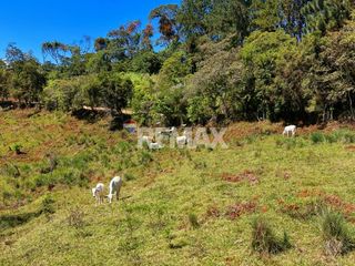 71-Acre Investment Property in Costa Rica with Mountain Views and Water Rights — photo 4 of 26