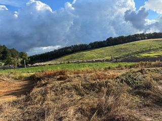 Terrenos Proyecto Residencial Cumbre Verde — photo 2 of 12