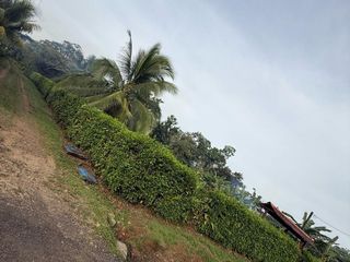 Precioso terreno a 20 metros de la Fortuna — photo 4 of 12