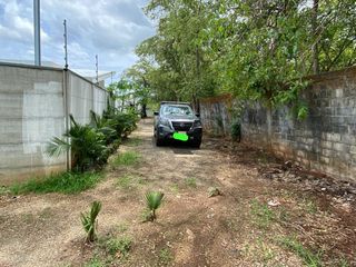 T-Juben — foto 5 de 5