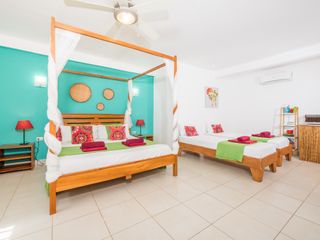 V- Dominik — foto 3 de 5