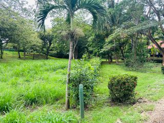 T- Gloria — foto 2 de 5