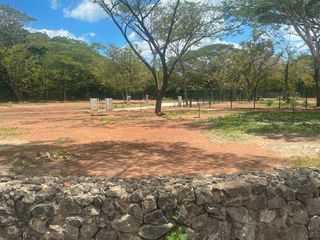 T- Tama centro Ju — foto 3 de 5