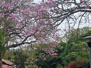 Villas San Rafael — photo 5 of 5