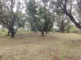 VENTA Gran lote en San Mateo de Alajuela — photo 4 of 19