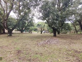VENTA Gran lote en San Mateo de Alajuela — photo 3 of 19