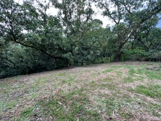 VENTA Gran lote en San Mateo de Alajuela — photo 5 of 19