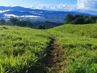 finca — photo 3 of 17