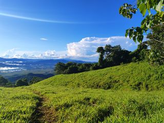 finca — photo 4 of 17