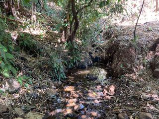 finca — photo 5 of 17