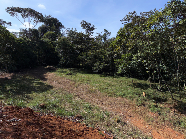 Terreno en San Pedro Pérez Zeledón — photo 3 of 5