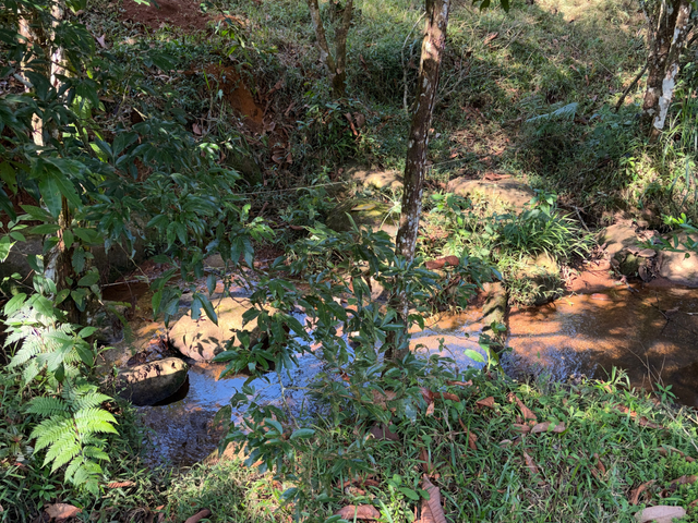Terreno en San Pedro Pérez Zeledón — photo 4 of 5