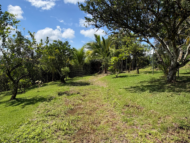 Casa de campo en Cajón Pérez Zeledón — photo 3 of 5