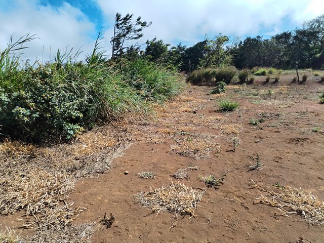 Lote en Piedades Norte — foto 5 de 5