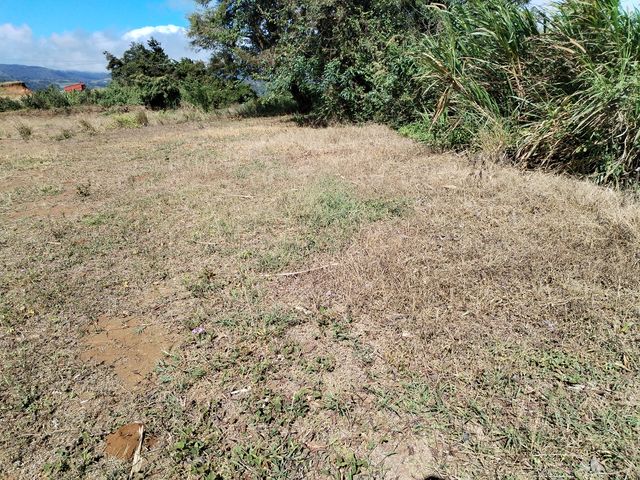 Lote en Piedades Norte — foto 4 de 5