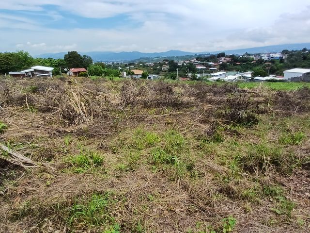 Lote en la Arena de Grecia — foto 3 de 5