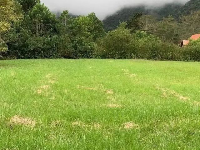 Lote 1381 m2 Bajos del Toro Sarchi — foto 2 de 5