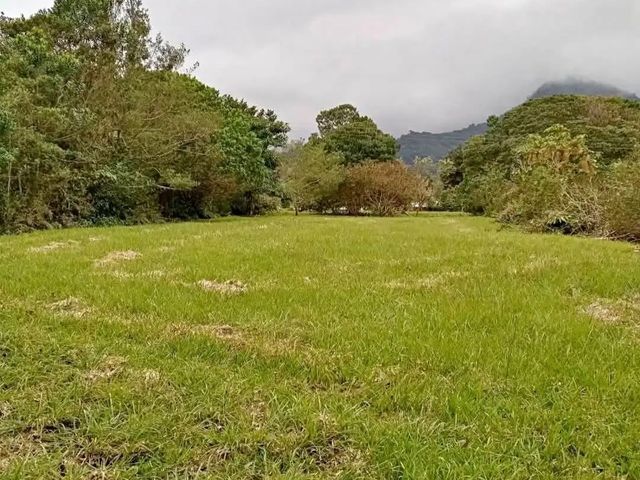 Lote 1381 m2 Bajos del Toro Sarchi — foto 4 de 5
