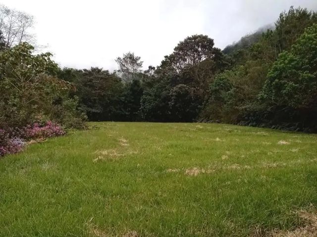 Lote 1381 m2 Bajos del Toro Sarchi — foto 3 de 5