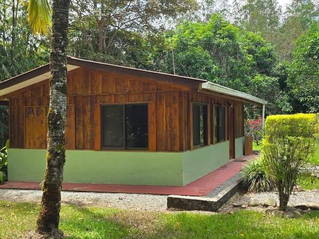 Amazing property for sale in el roble de Pérez Zeledón — foto 2 de 5