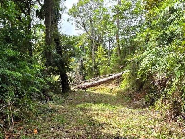 Beautiful lot for sale in Barucito between Escaleras and San Salvador Pérez Zeledón.! — foto 4 de 5