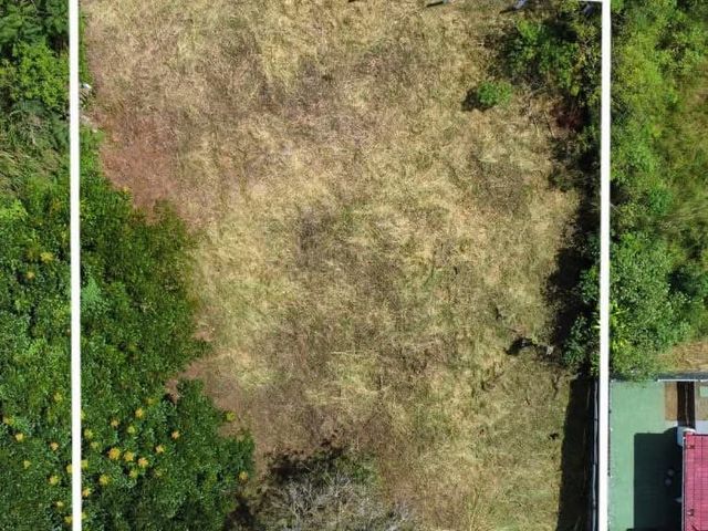 Lindo lote en venta en San Isidro de el General — photo 2 of 5