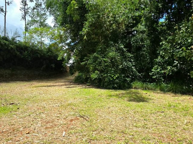 Nice land in providencia de Páramo, Pérez Zeledón — photo 4 of 5