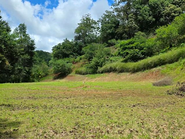 Nice land in providencia de Páramo, Pérez Zeledón — photo 2 of 5