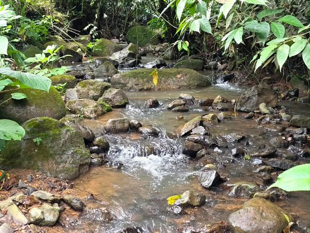 Nice land in providencia de Páramo, Pérez Zeledón — photo 5 of 5