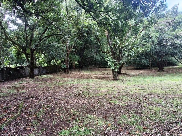 500 m2 Affordable lot in Atenas! — foto 1 de 11