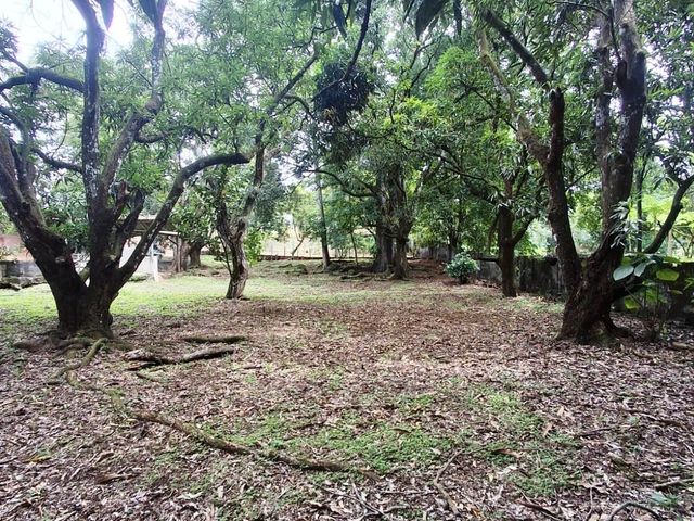 500 m2 Affordable lot in Atenas! — foto 3 de 11