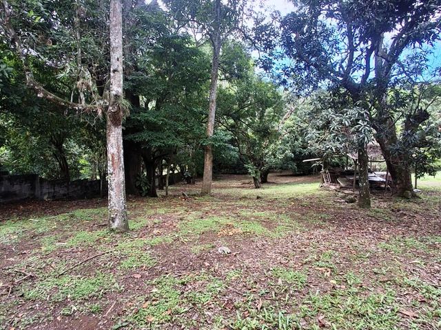500 m2 Affordable lot in Atenas! — foto 4 de 11