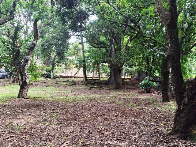 500 m2 Affordable lot in Atenas! — foto 7 de 11