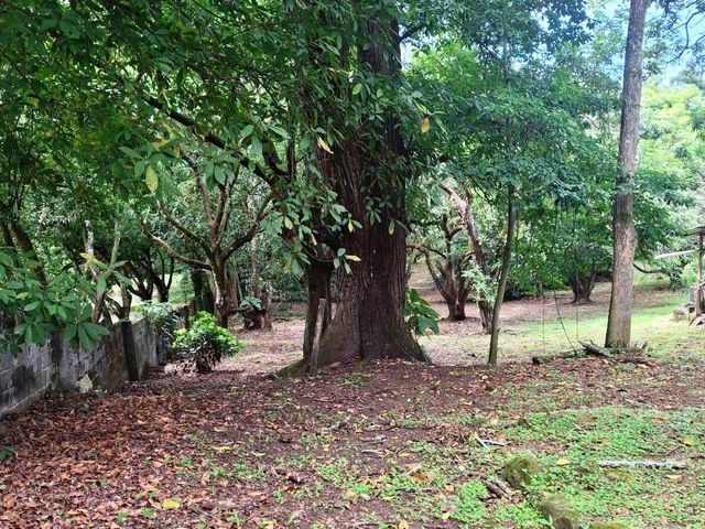 500 m2 Affordable lot in Atenas! — foto 9 de 11