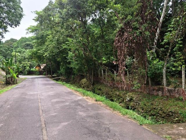 500 m2 Affordable lot in Atenas! — foto 8 de 11
